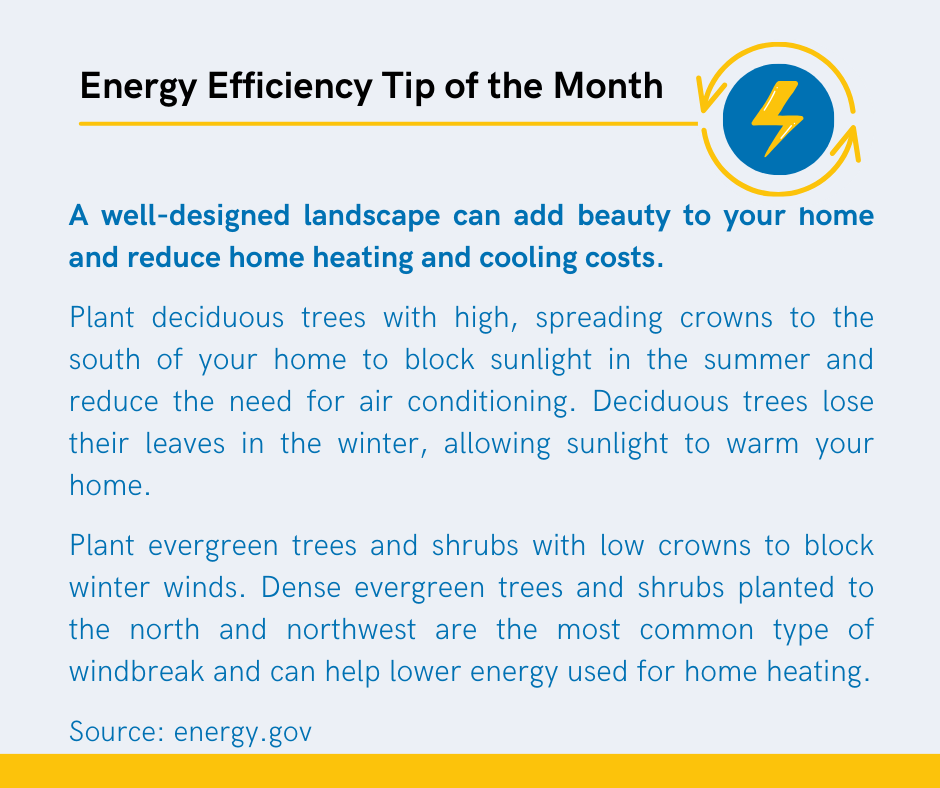Energy Efficiency Tip of the Month