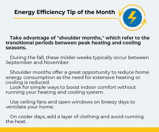 Energy Efficiency Tip of the Month