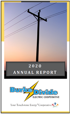 2020 Annual Report